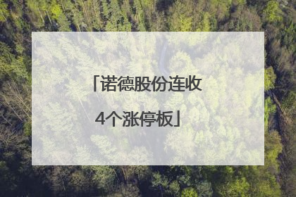 诺德股份连收4个涨停板